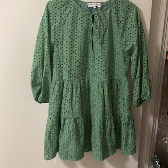 Karina Grimaldi  Irina Eyelet Mini Dress in Sage - Picture 2 of 6